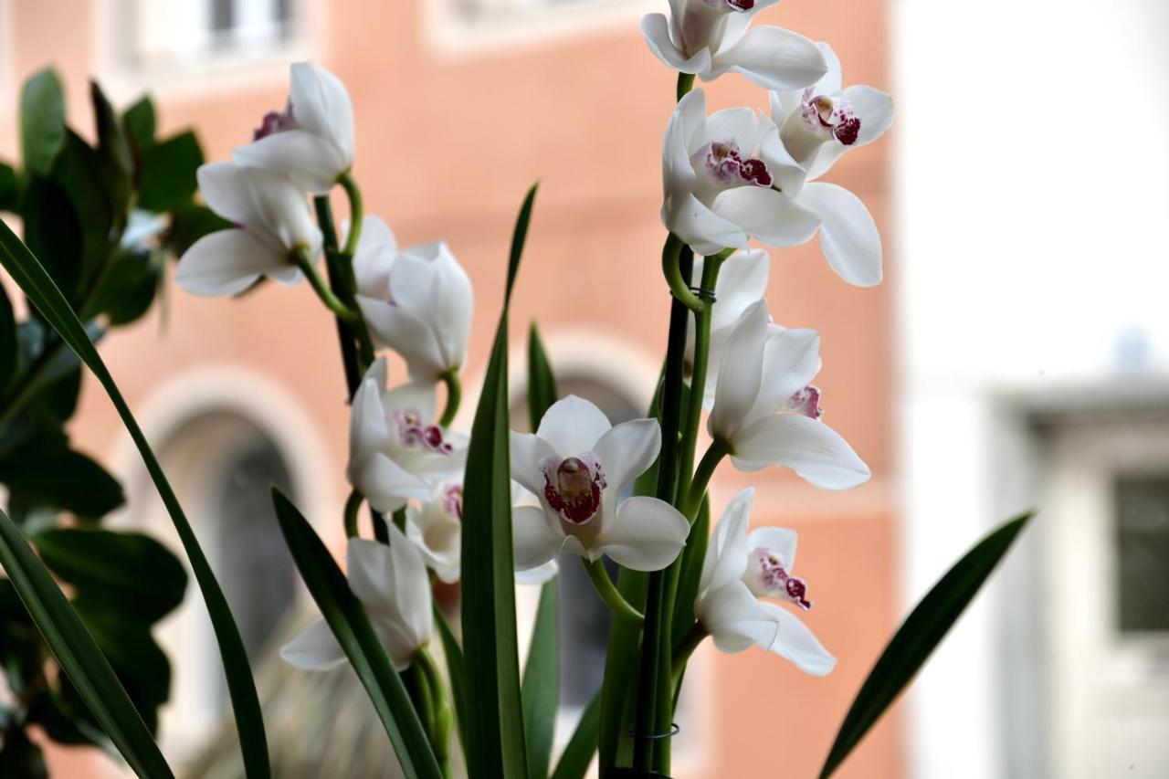 Hotel Krone บรูนิโก ภายนอก รูปภาพ